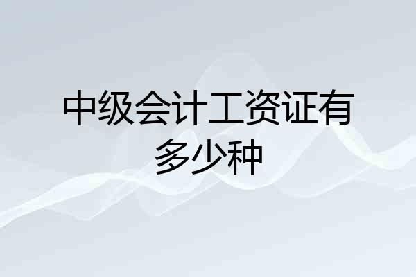 中级会计工资证有多少种