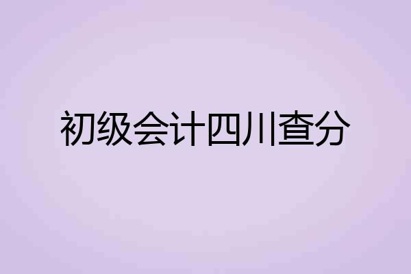 初级会计四川查分