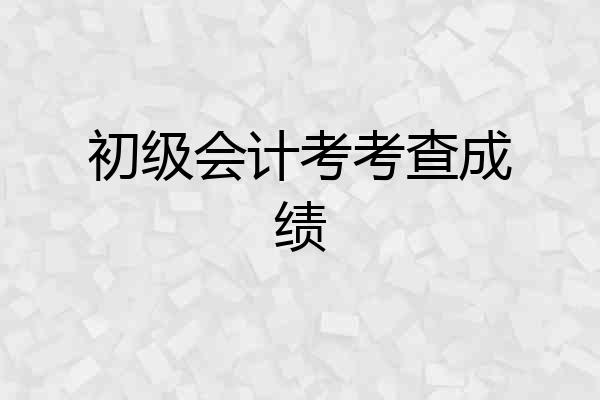 初级会计考考查成绩