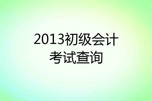 2013初级会计考试查询