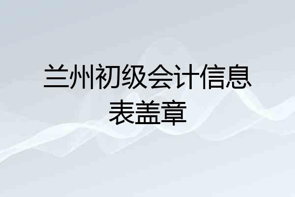兰州初级会计信息表盖章