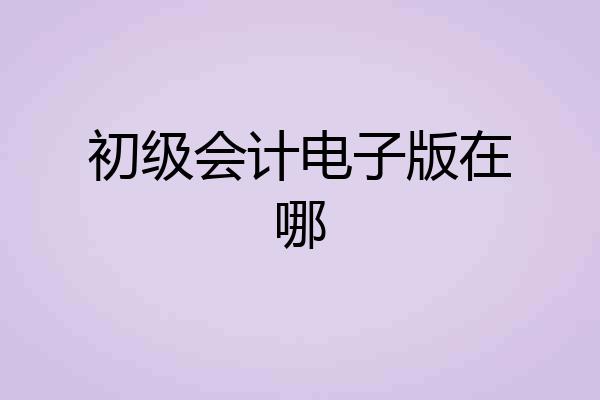 初级会计电子版在哪