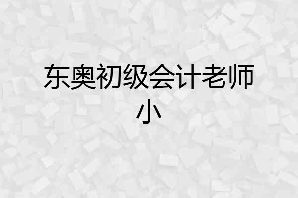 东奥初级会计老师小