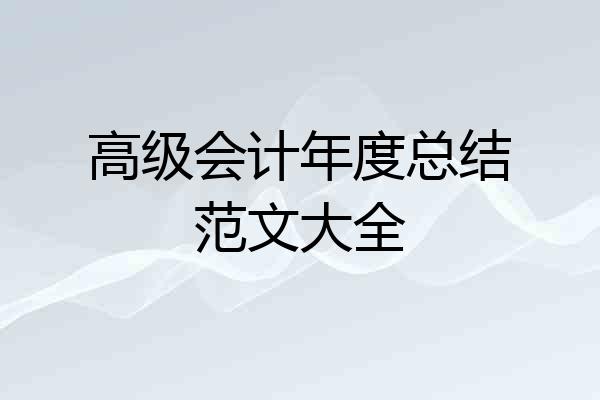 高级会计年度总结范文大全