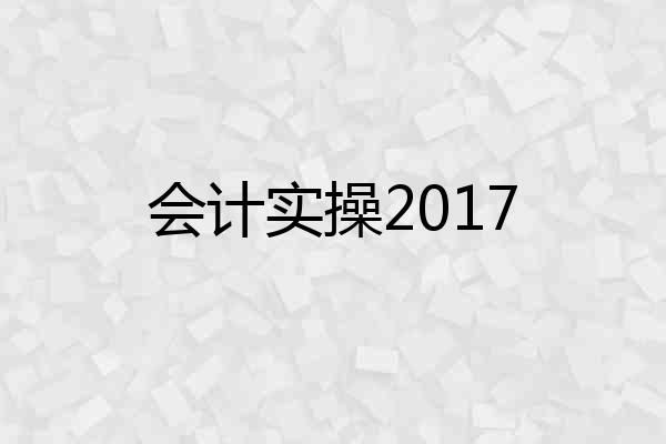 会计实操2017