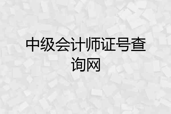 中级会计师证号查询网