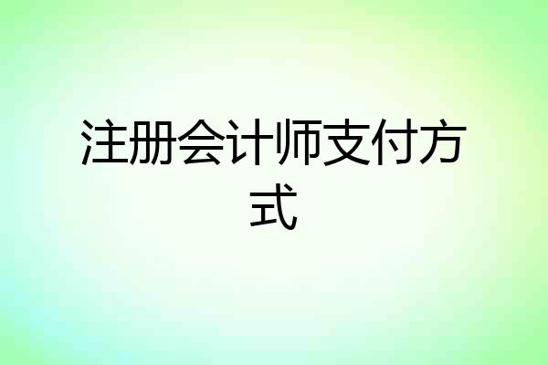 注册会计师支付方式