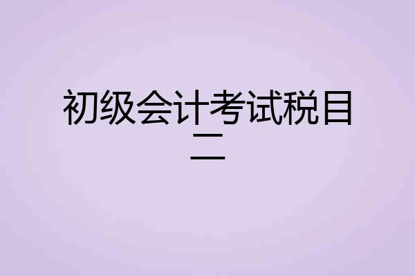 初级会计考试税目二