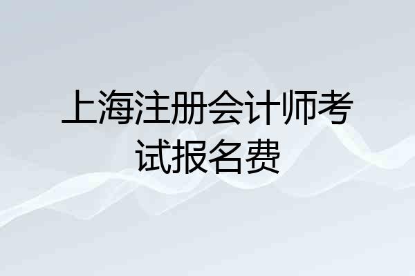 上海注册会计师考试报名费