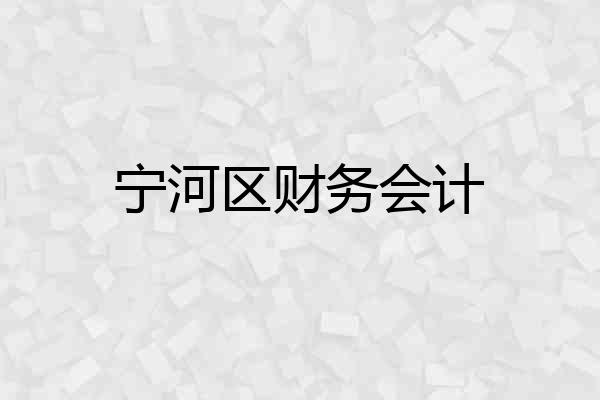 宁河区财务会计