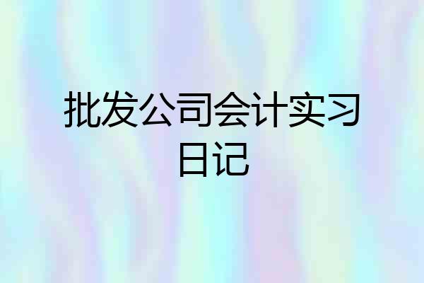批发公司会计实习日记
