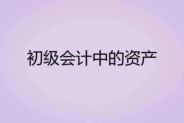初级会计中的资产