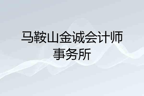 马鞍山金诚会计师事务所