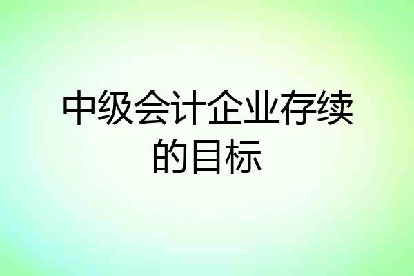 中级会计企业存续的目标