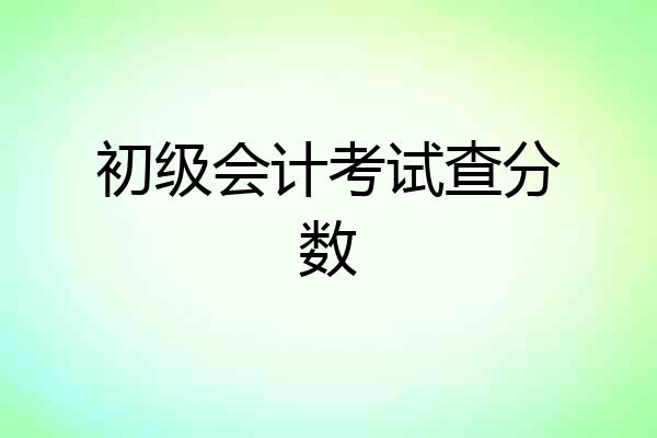 初级会计考试查分数