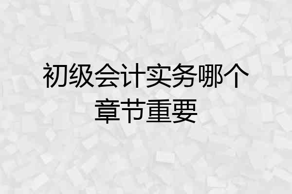 初级会计实务哪个章节重要