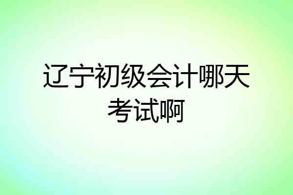 辽宁初级会计哪天考试啊