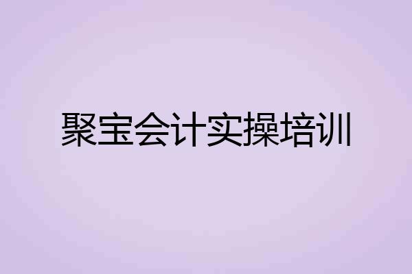 聚宝会计实操培训