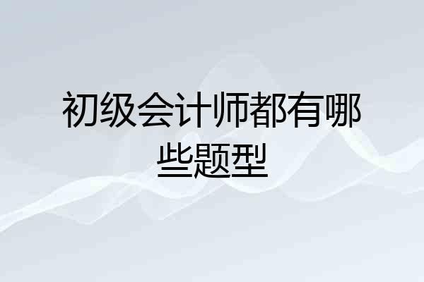 初级会计师都有哪些题型