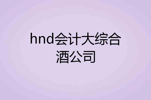 hnd会计大综合酒公司