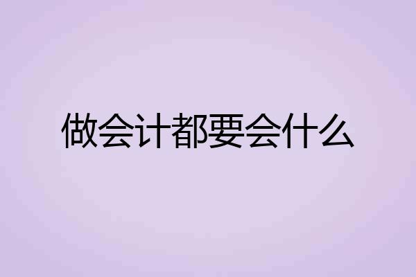 做会计都要会什么