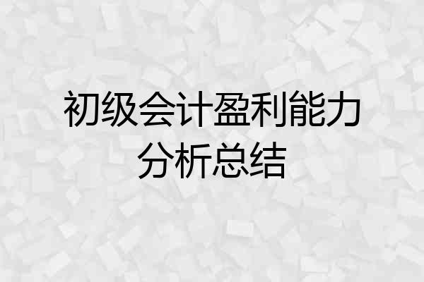 初级会计盈利能力分析总结
