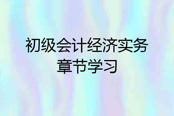 初级会计经济实务章节学习