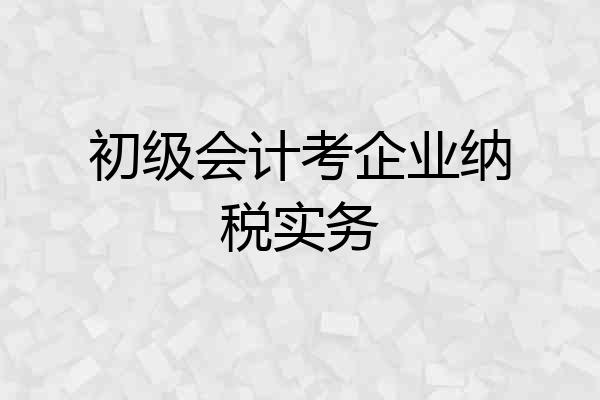 初级会计考企业纳税实务