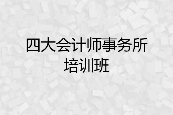 四大会计师事务所培训班