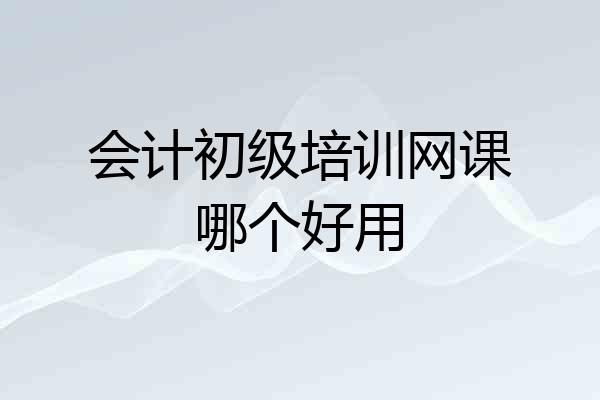 会计初级培训网课哪个好用