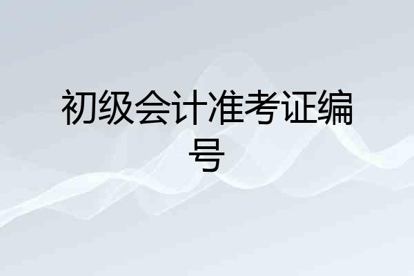 初级会计准考证编号