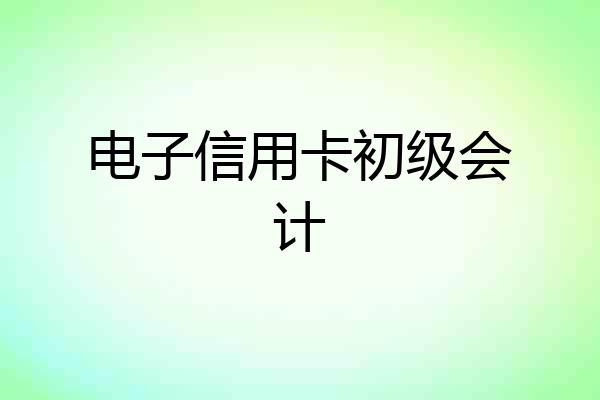 电子信用卡初级会计