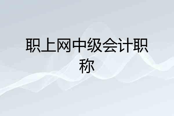 职上网中级会计职称