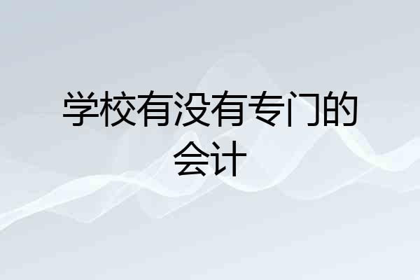 学校有没有专门的会计