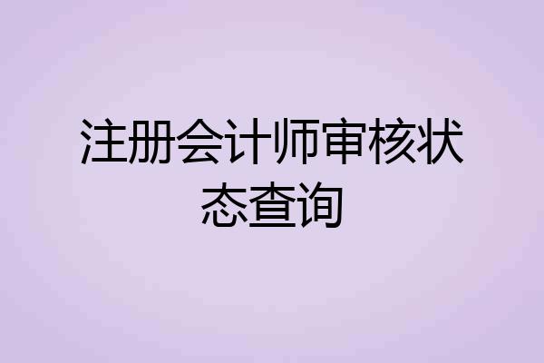 注册会计师审核状态查询