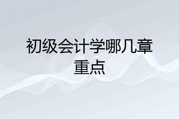初级会计学哪几章重点