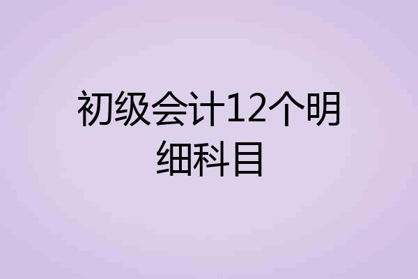 初级会计12个明细科目