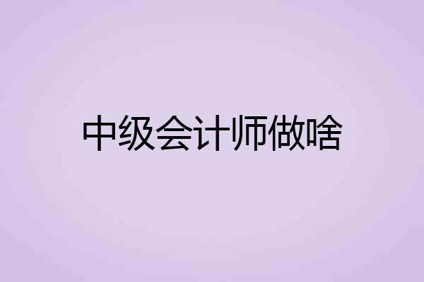 中级会计师做啥