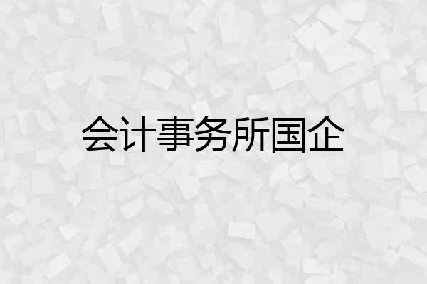 会计事务所国企