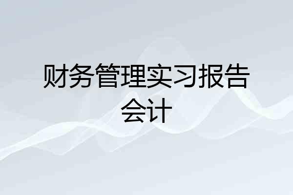 财务管理实习报告会计