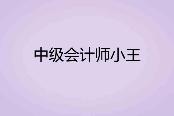 中级会计师小王