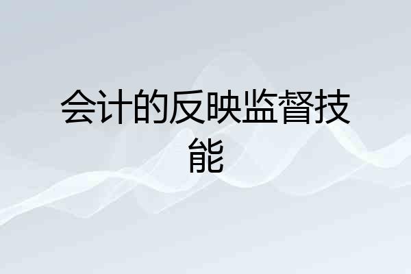 会计的反映监督技能