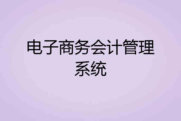 电子商务会计管理系统