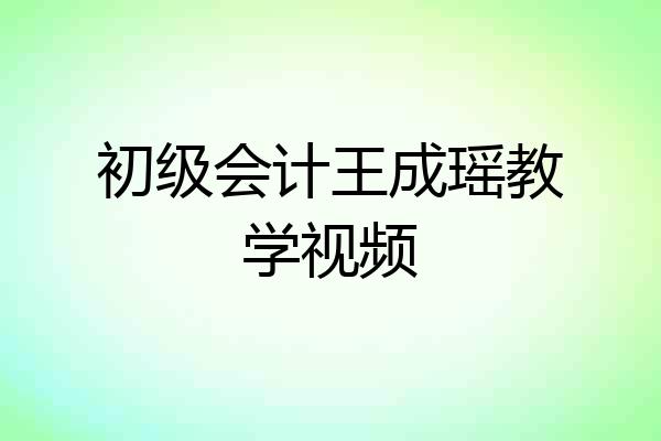 初级会计王成瑶教学视频