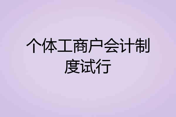 个体工商户会计制度试行