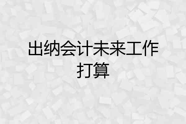 出纳会计未来工作打算