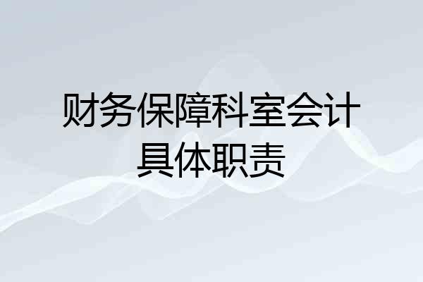 财务保障科室会计具体职责