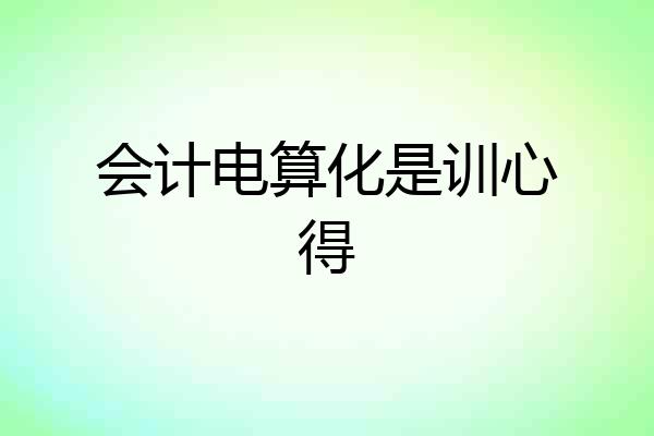 会计电算化是训心得