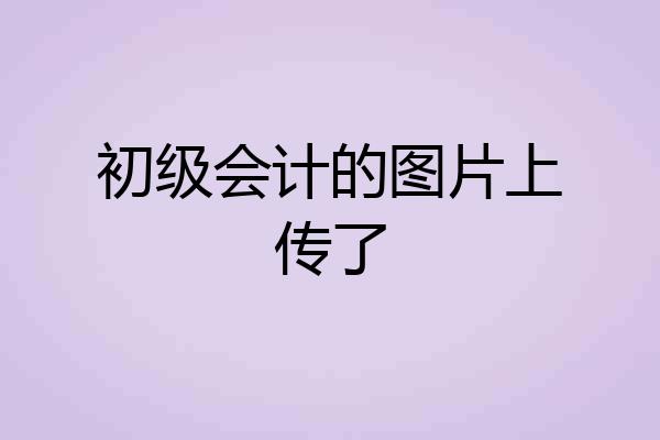 初级会计的图片上传了