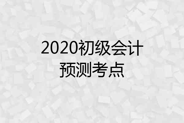 2020初级会计预测考点